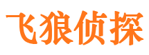 西湖市婚外情调查